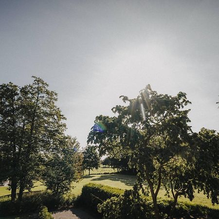 Ferienwohnung Weidenblick Varel Exteriér fotografie