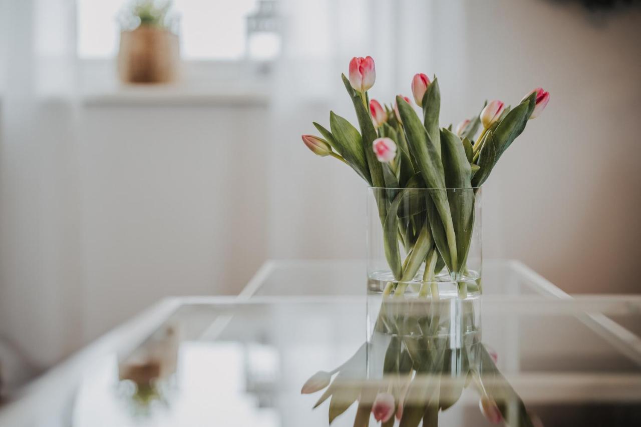Ferienwohnung Weidenblick Varel Exteriér fotografie